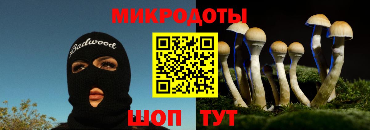 Нижний Тагил  Галлюциногенные грибы мухоморы  Вход с VPN 